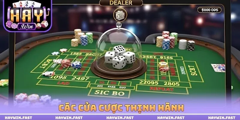 Các cửa cược thịnh hành