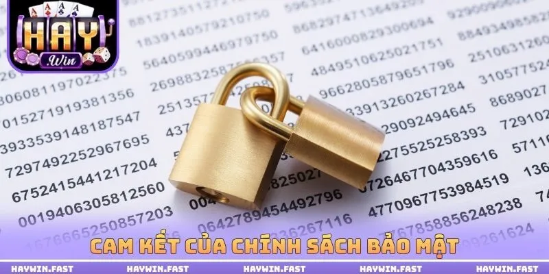 Cam kết của chính sách bảo mật