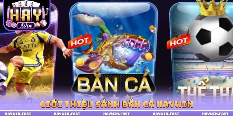 Giới thiệu sảnh bắn cá haywin