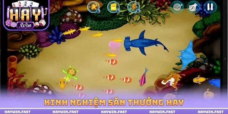 Kinh nghiệm săn thưởng hay