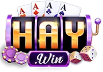 haywin.fast