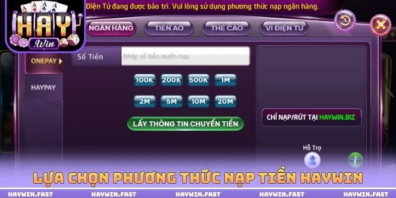 Phương thức nạp tiền HAYWIN