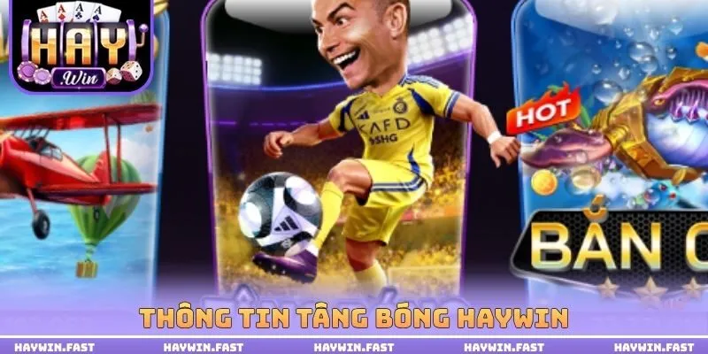 Thông tin tâng bóng haywin