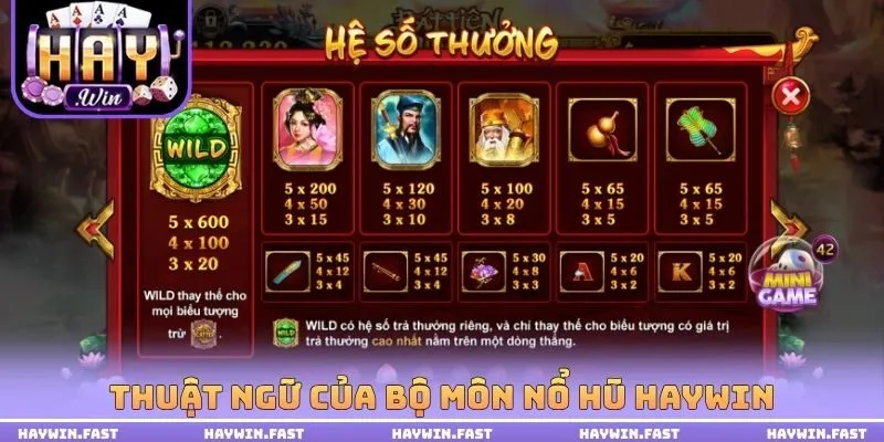 Thuật ngữ của bộ môn nổ hũ HAYWIN