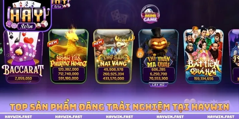 Top sản phẩm đáng trải nghiệm tại HAYWIN